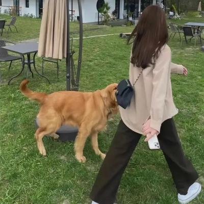知情人